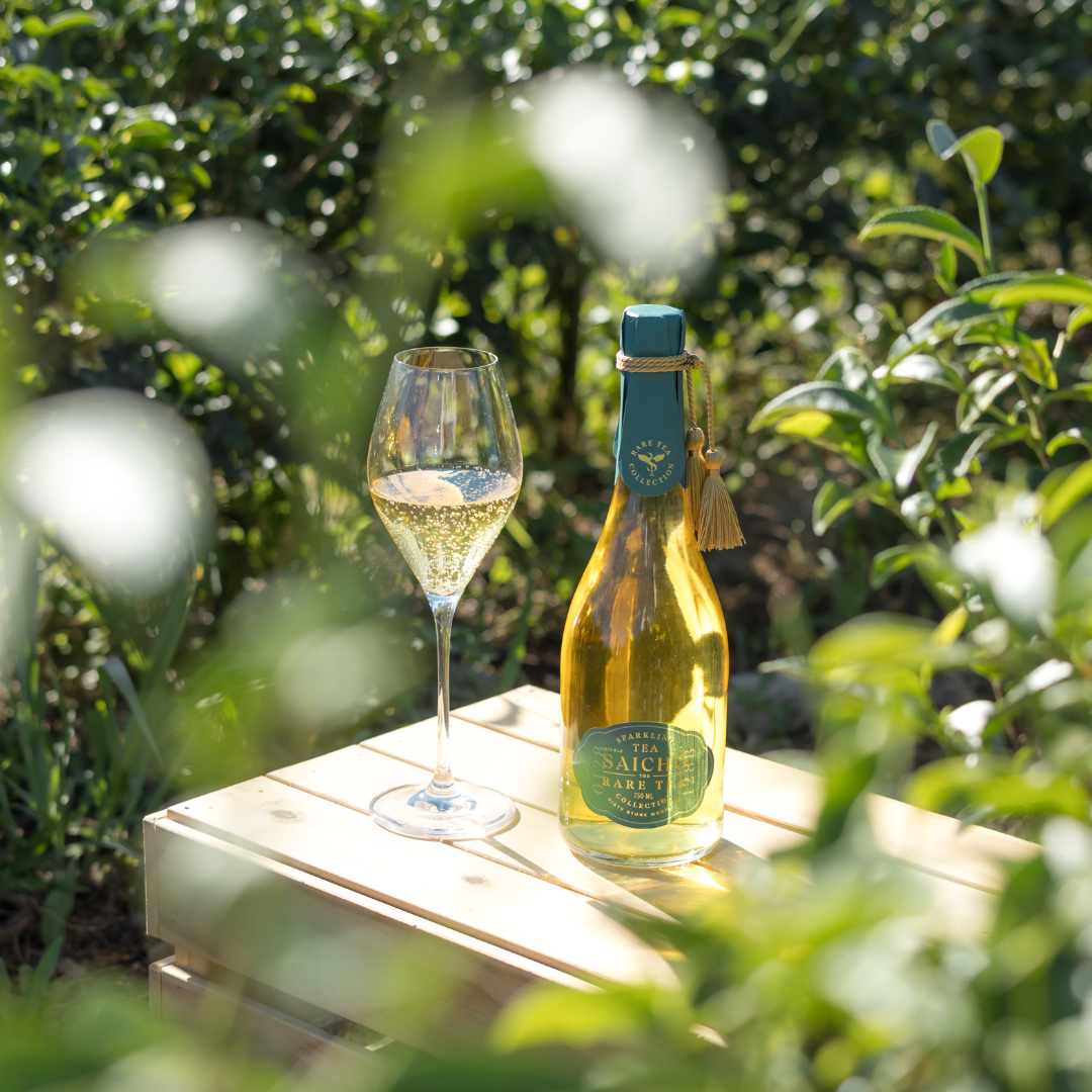 A Journey of Discovery with Saicho Sixty Stone Mountain