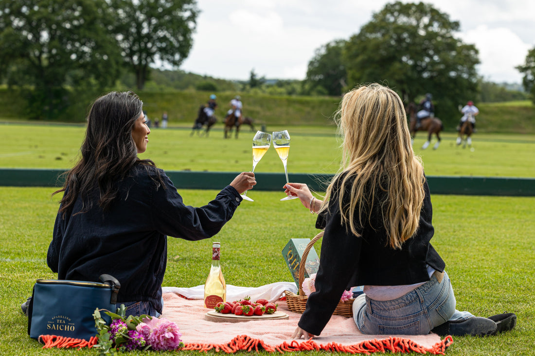 Win a day at the Polo – Terms & Conditions