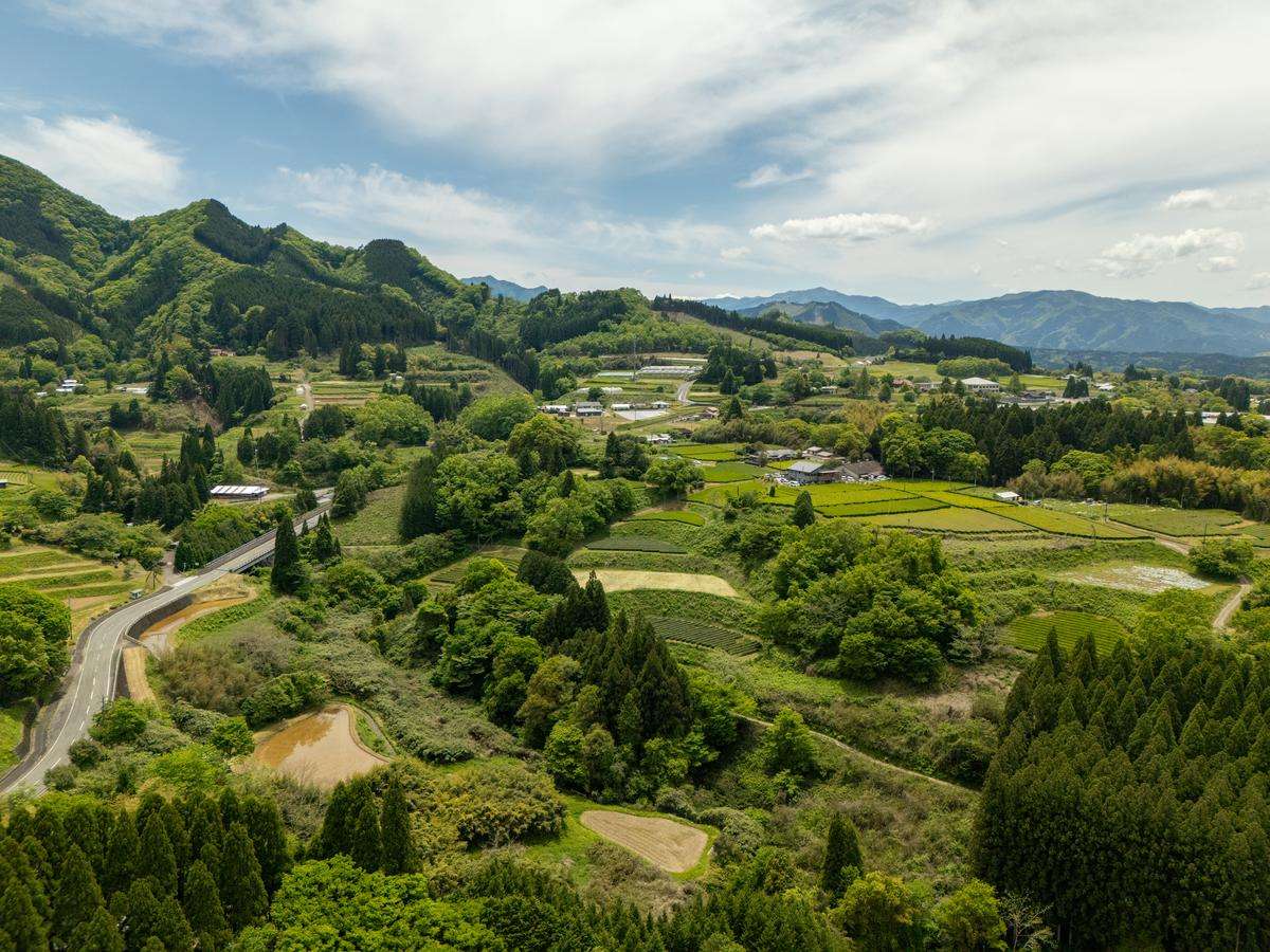 From Mountain to Table: The Hands Behind Minami Sayaka