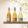 SAICHO COLLECTION