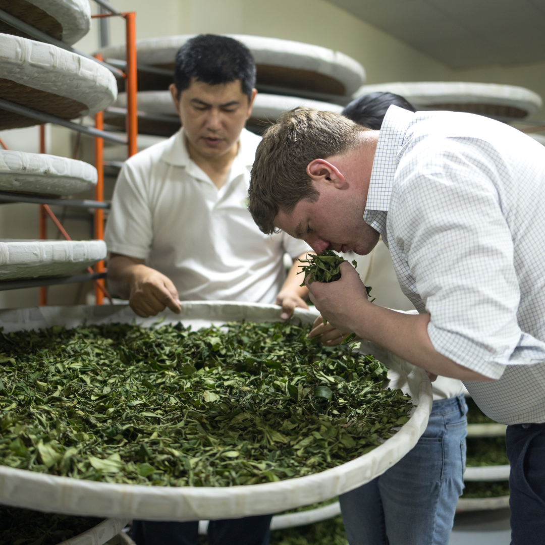 Cold brewing process