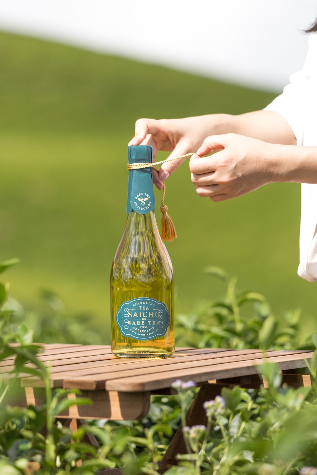 LIMITED EDITION - SIXTY STONE MOUNTAIN – Saicho